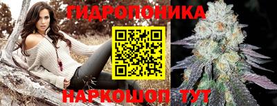 гашик Нальчик