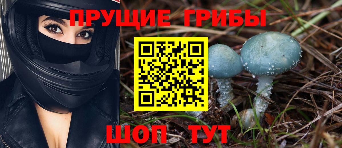 Галлюциногенные грибы мухоморы  Псилоцибиновые грибы MAGIC MUSHROOMS  Вход с VPN  Сальск 