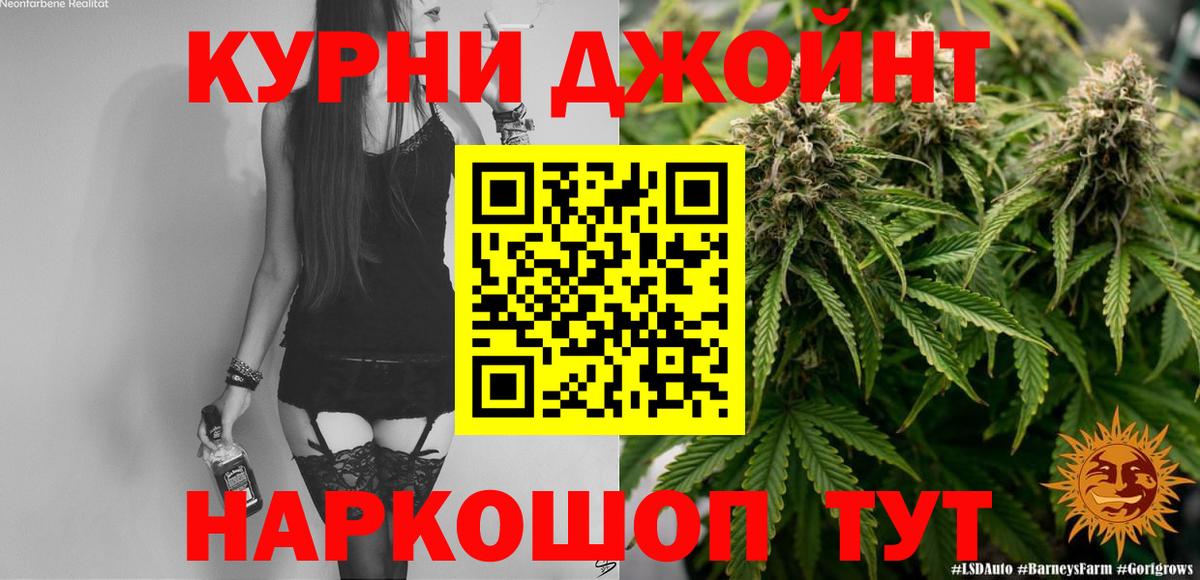 Бошки Шишки планчик Сальск